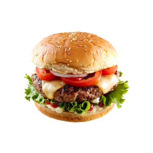 Regular Chicken Burger